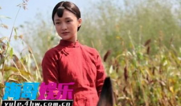 红高粱电视剧多少集,跨越时代的爱情传奇，浓缩于XX集的激情岁月